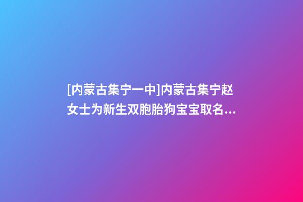 [内蒙古集宁一中]内蒙古集宁赵女士为新生双胞胎狗宝宝取名时尚型套餐